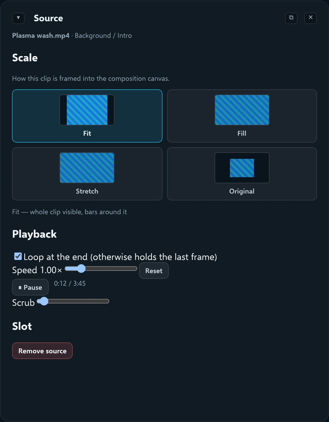 The Source panel for a video clip with Scale, Playback and Slot sections